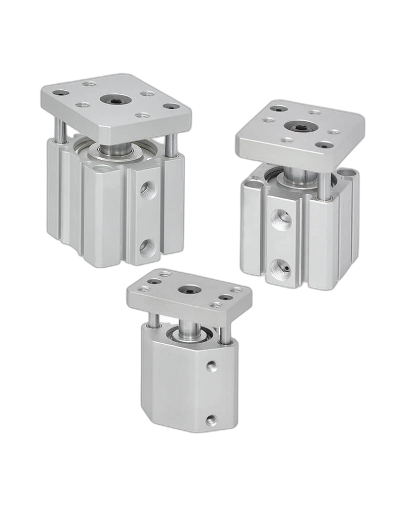Twin-Guide Cylinder(MCGJ) image 2