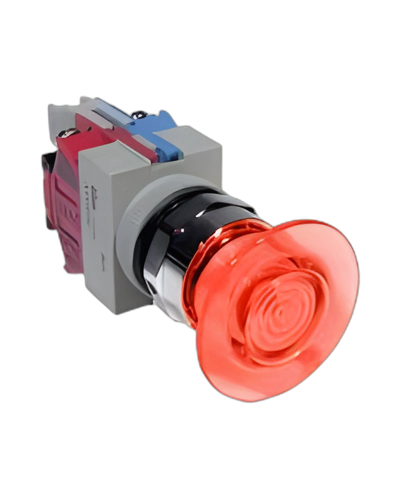 AYLW49922D-R-24V image 2