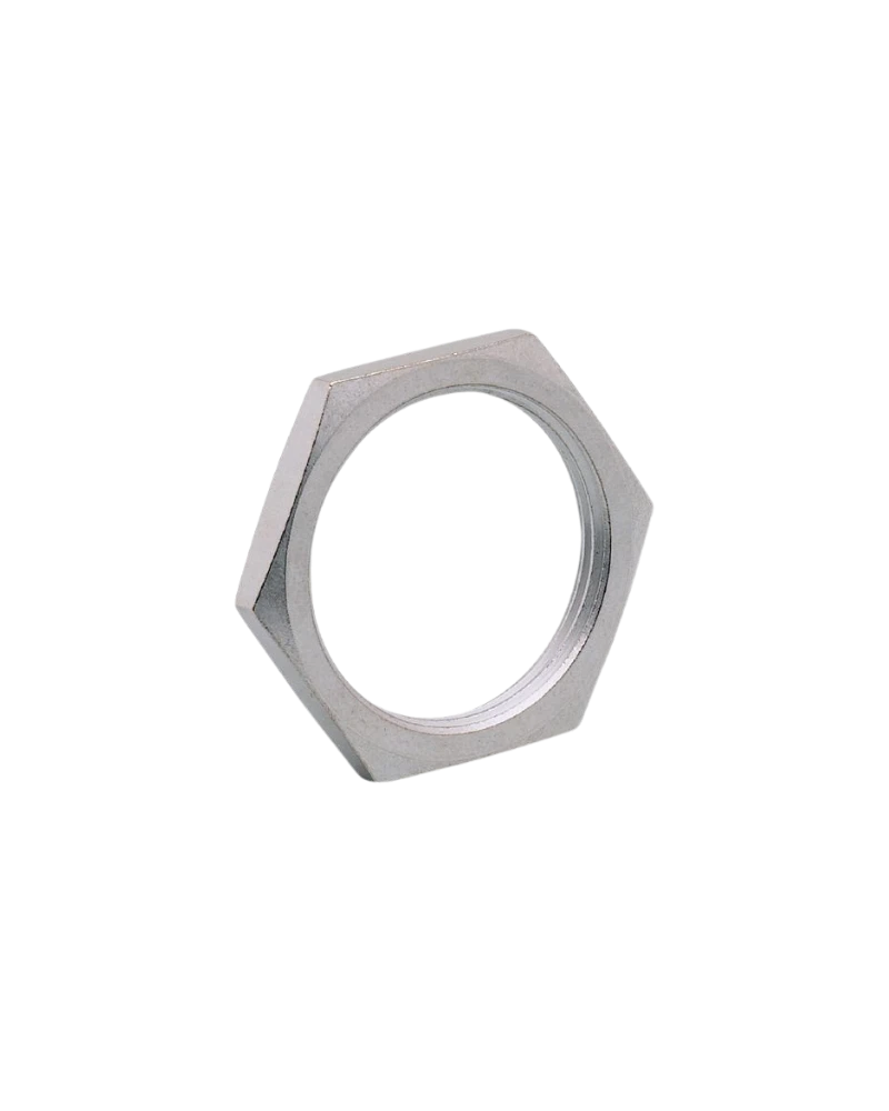 E10031 - Hexagon nut - NUT M30X1.5 V4A 2 PIECES image 2
