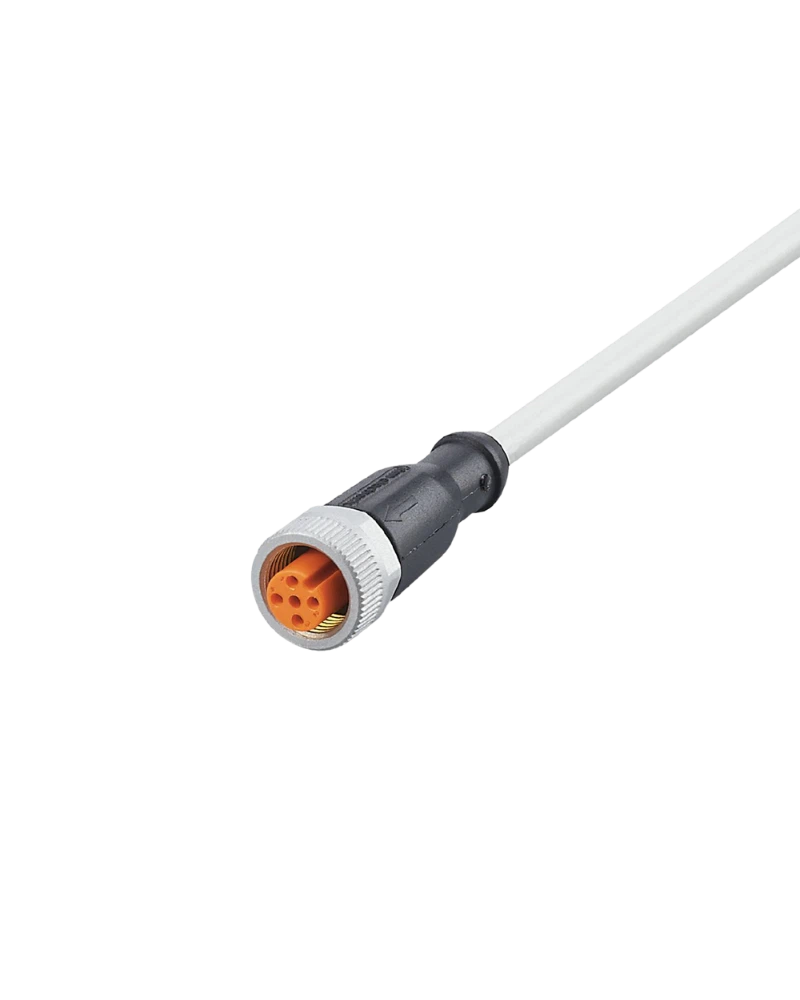 EVW168 - Connecting cable with socket - ADOGH046SCS0005T04 image 2