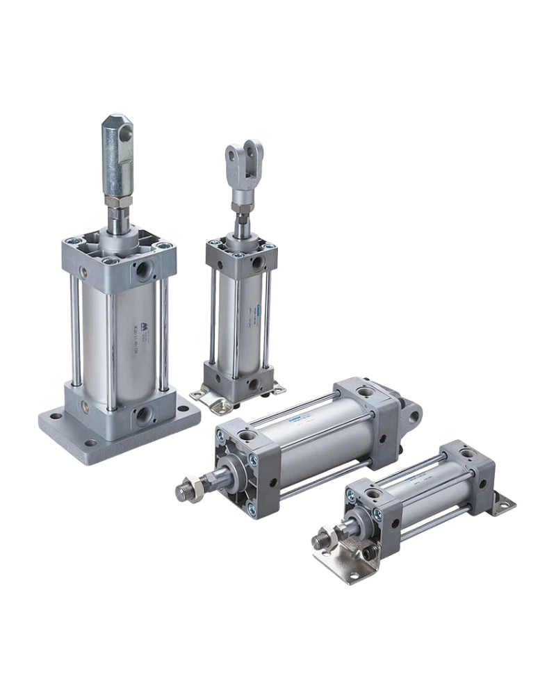 Standard Cylinders (MCQA)