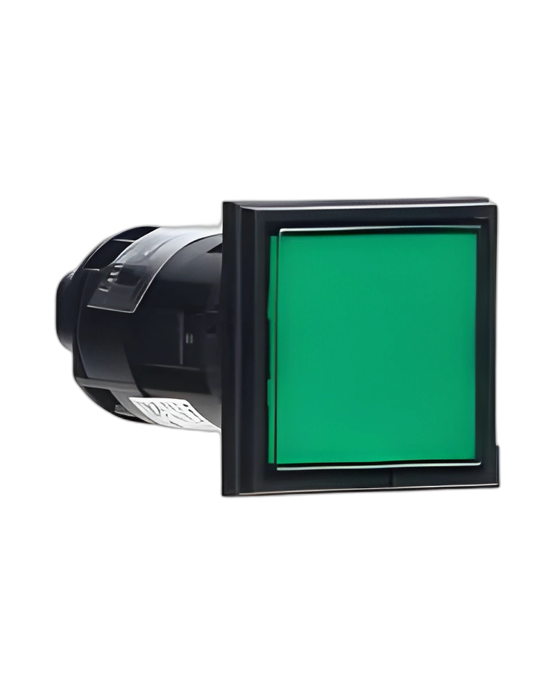 HW2P-1FQD-R-24V