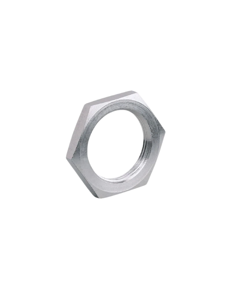 E10028 - Hexagon nut - NUT M18X1 V4A 2 PIECES